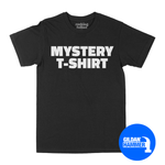 Load image into Gallery viewer, Mystery T-Shirt (Gildan Hammer T-Shirt)